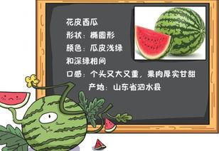 别样吃瓜知乎免费阅读,揭秘知乎免费阅读背后的故事 第2张 别样吃瓜知乎免费阅读,揭秘知乎免费阅读背后的故事 第2张